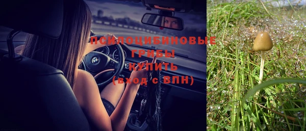 прущий лед Белокуриха