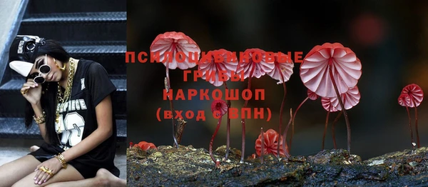 кокс Приозерск