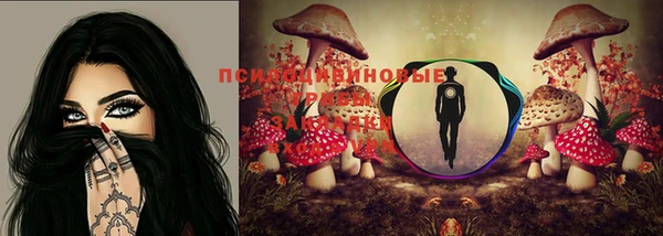 прущий лед Белокуриха