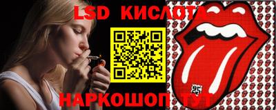 крисы Можга
