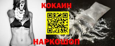 крисы Можга