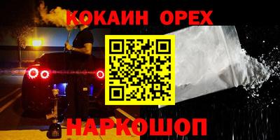 крисы Можга