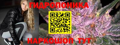 крисы Можга