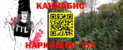 крисы Можга