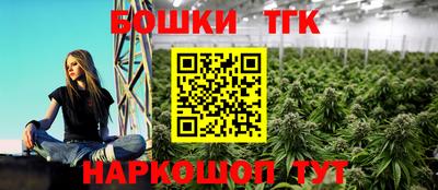 крисы Можга
