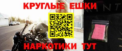 крисы Можга
