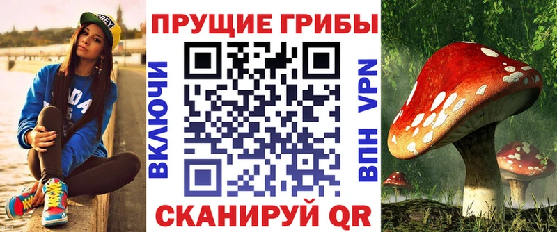 Псилоцибиновые грибы прущие грибы  Славгород 