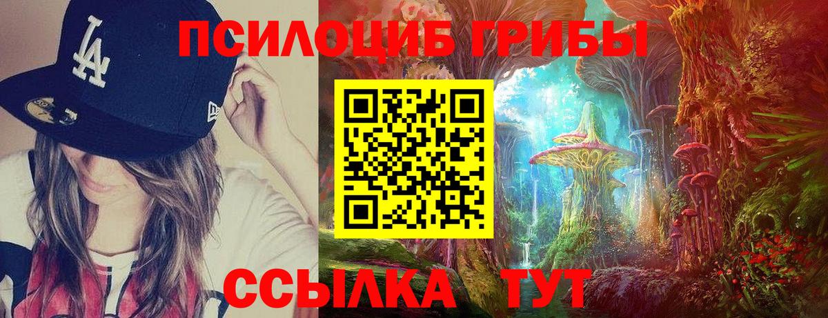 Псилоцибиновые грибы Cubensis Славгород